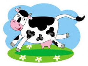 Cow Cow Run